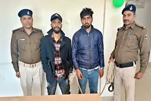 News image